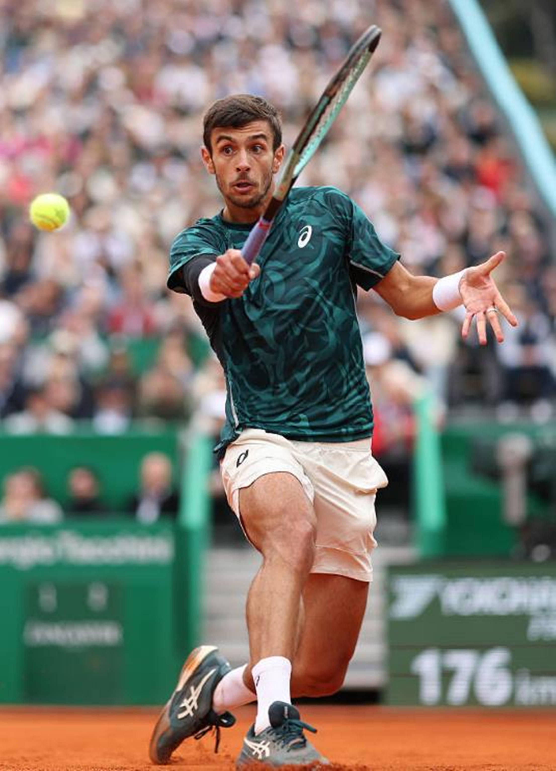 色的篮球智 色的篮球智